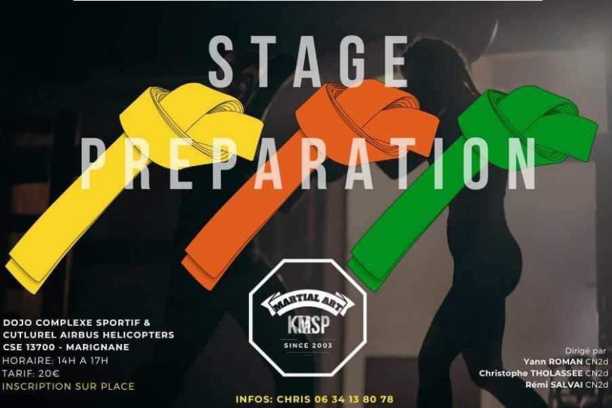 Stage préparation ceintures jaune/orange/verte