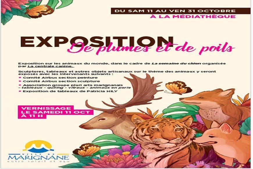 La section peinture expose à la médiathèque de Marignane