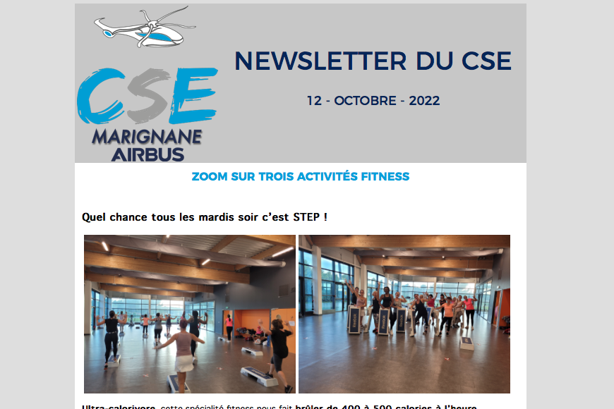 La section dans la Newsletter du CSE du 12/10/2022